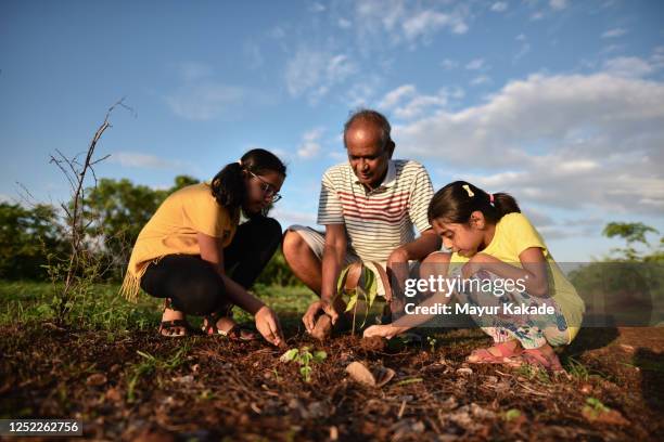 grandfather with granddaughters planting a tree - education retirement stock-fotos und bilder