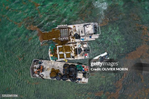 The "Sargator 2" vessel created by France's Laurent Brousseau to collect up to 100 tons of sargassum per hour, extracts live Sargassum from the...