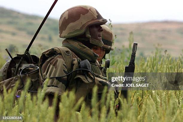 3rd Regiment Rmp 3rd Marine Infantry Regiment Photos and Premium High Res Pictures ...