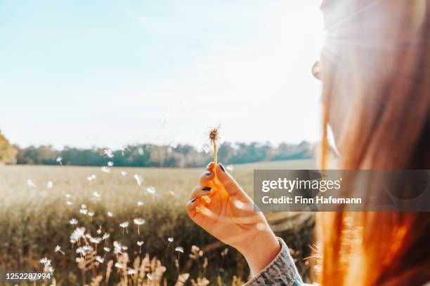 wishes and hope young woman blowing dandelion flower - make a wish stock pictures, royalty-free photos & images