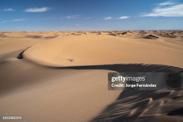 Desert landscape of Erg Chegaga dunes.