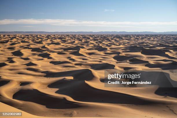 Desert landscape of Erg Chegaga dunes.