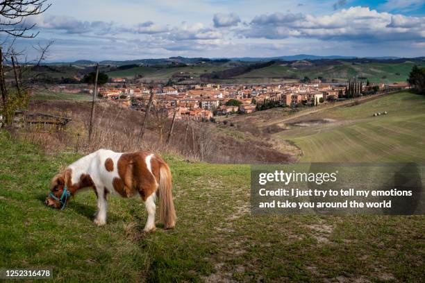 trekking on the via francigena from siena to ponte d'arbia - tuscany, italy - grapevine texas stock pictures, royalty-free photos & images