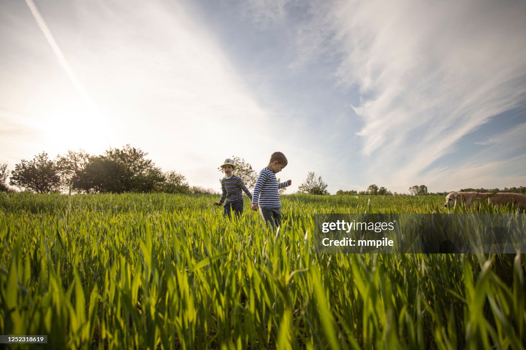 Discovering nature