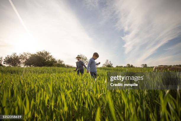 discovering nature - happy family in farm stock pictures, royalty-free photos & images