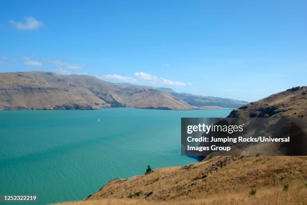 godley beach park near christchurch and akaroa, canterbury region, south island, new zealand - banks peninsula stock pictures, royalty-free photos & images