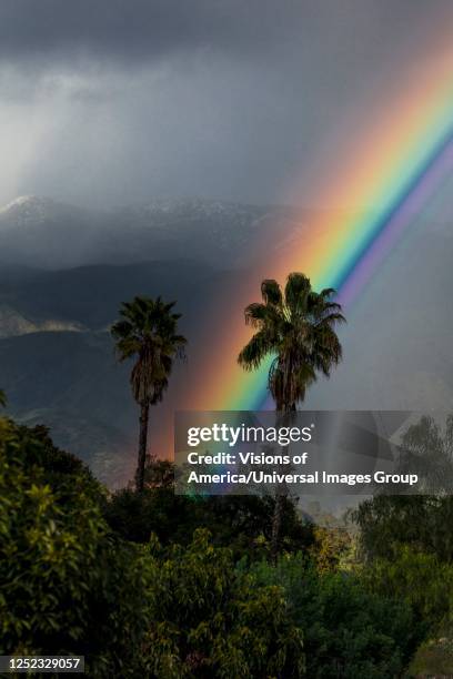 rainbow between two california palm trees - ojai california foto e immagini stock