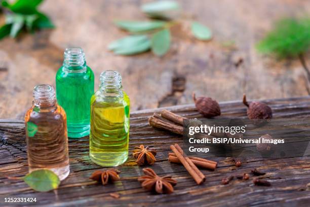 phytotherapy - cravo da índia imagens e fotografias de stock