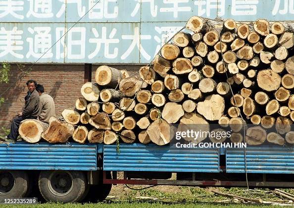 CHINA-ENVIRONMENT-LOGGING