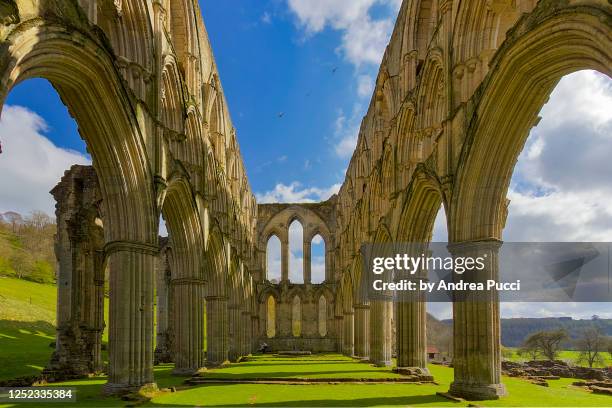 rievaulx abbey, yorkshire, united kingdom - rievaulx abbey stock pictures, royalty-free photos & images