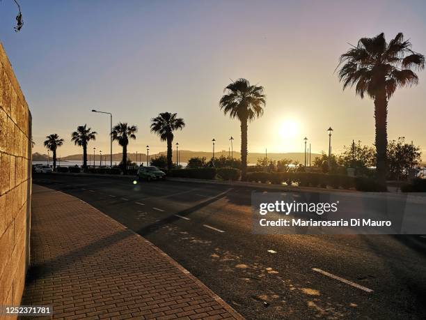 bugibba promenade with palms during sunset - modern malta stock pictures, royalty-free photos & images