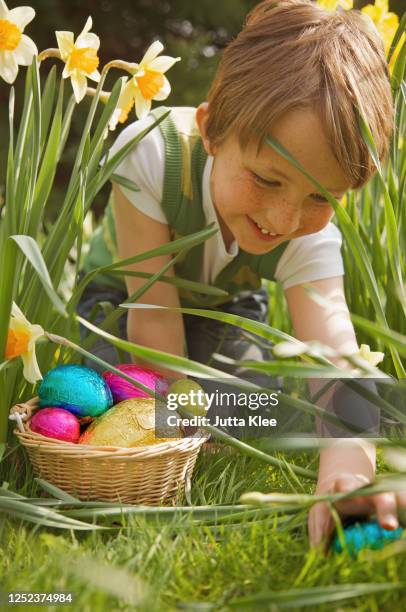 smiling boy finding easter egg candy among daffodils - easter basket with candy stock pictures, royalty-free photos & images