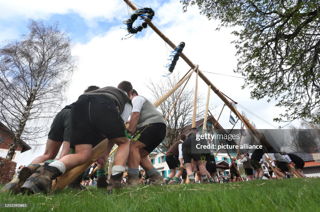 Maypole Testtrack Piece by piece, a maypole is erected in the village of Akams by... News ...