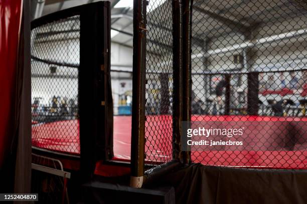 kampfbühne seitenansicht. nahaufnahme am arena-eingang - mixed martial arts stock-fotos und bilder