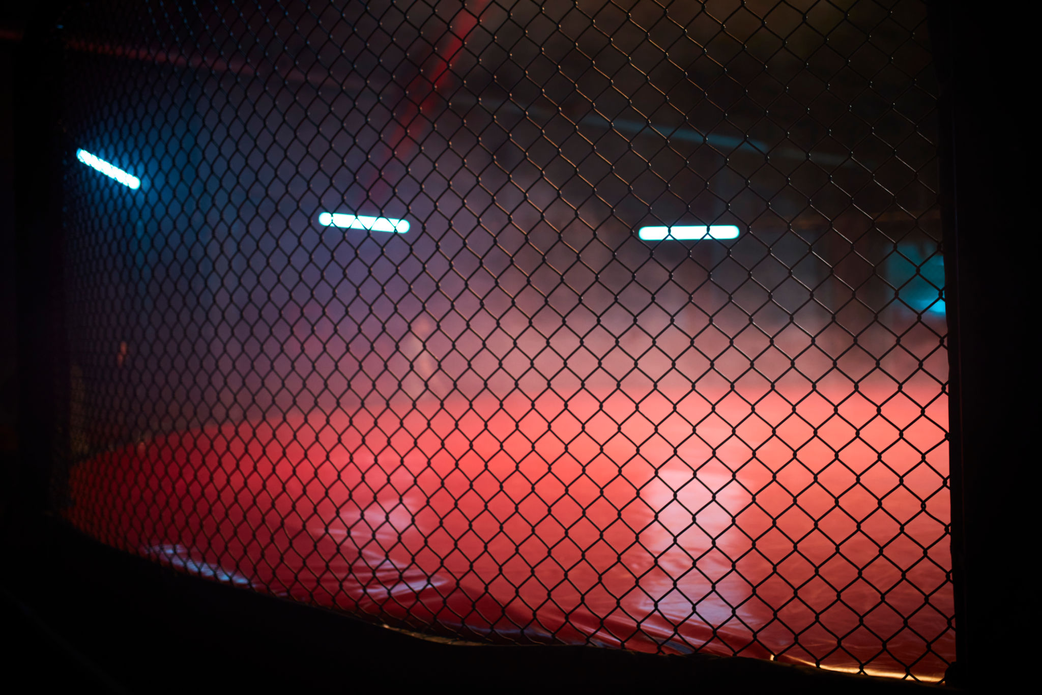 mma competition