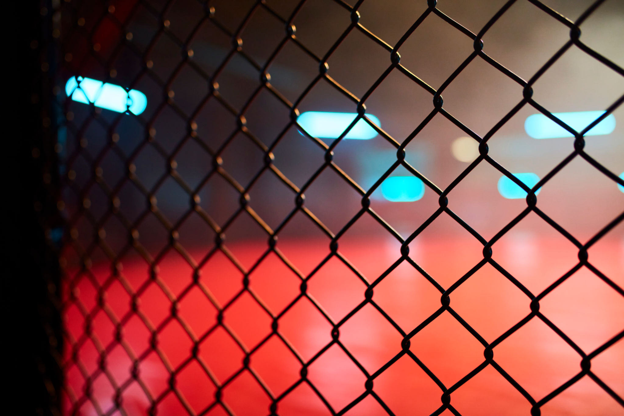 mixed martial arts