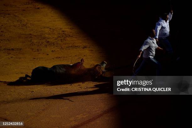 Bull is taken off the ring after being put to death during the Feria de Abril bullfighting festival at La Maestranza bullring in Seville on April 30,...