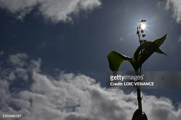 Person holds a branch of lily of the valley during a demonstration on May Day , to mark the international day of workers, more than a month after the...