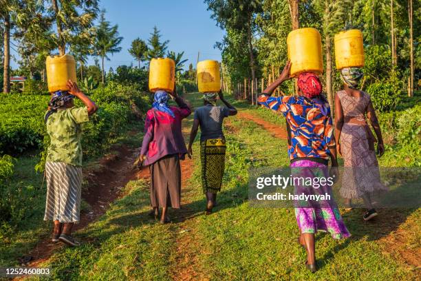 african women carrying water, kenya, east africa - east africa imagens e fotografias de stock