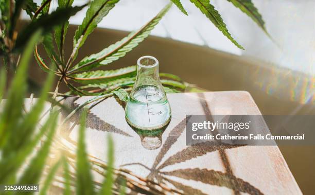 conical flash containing cannabis extract, in sun. - medicinal cannabis stockfoto's en -beelden