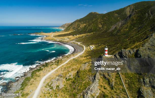 vuurtoren (kaap palliser) - wellington nieuw zeeland stockfoto's en -beelden