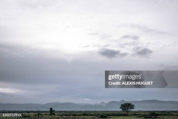 Ruwindi 23 Rwindi National Park Stock Photos, High-Res Pictures, and Images ...