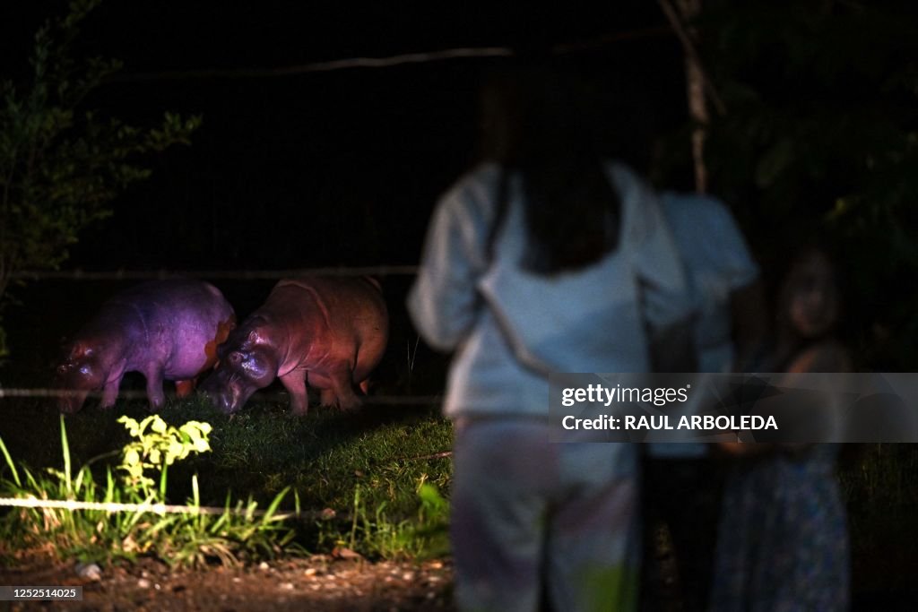 COLOMBIA-ANIMAL-HIPPO-ESCOBAR