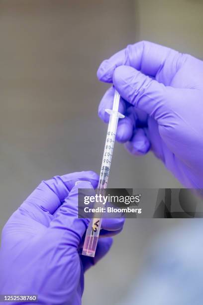 Lab technician draws a sample of the H5N1 bird flu virus into a syringe during a demonstration in a laboratory at The Pirbright Institute in Woking,...