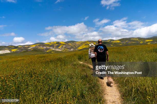 People walk through fields of fiddleheads in Wallace Creek near the Carrizo Plain National Monument in Santa Margarita, California on Tuesday April...