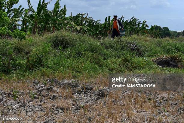 Farmer walks along a dried-up rice field in Naic in the Philippine Province of Cavite on May 3, 2023. - The United Nations warned on May 3 of a...