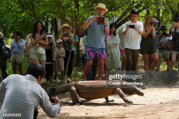 Tourist take photographs of a Komodo dragon at the National Park on Komodo island, West Manggarai, Indonesia, on Friday, April 28, 2023. Indonesia is...