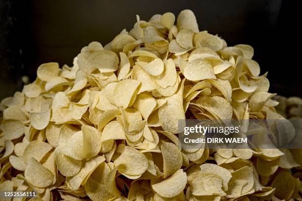 This photograph shows potato chips at the production site of the Pringles potato chips, where a new recyclable paper version of the trademark tube...