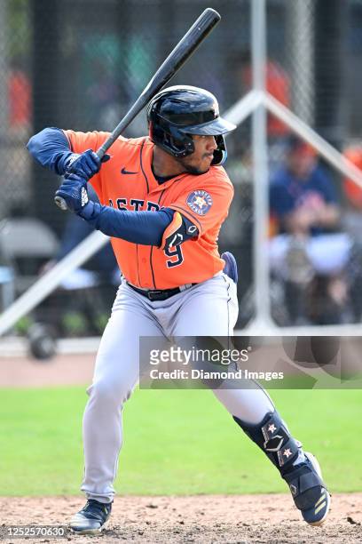 Pedro León of the Houston Astros bats during a minor league spring training game against the New York Mets at The Ballpark of the Palm Beaches on...