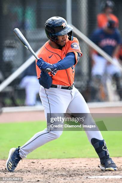 Pedro León of the Houston Astros bats during a minor league spring training game against the New York Mets at The Ballpark of the Palm Beaches on...