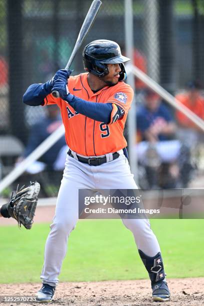 Pedro León of the Houston Astros bats during a minor league spring training game against the New York Mets at The Ballpark of the Palm Beaches on...