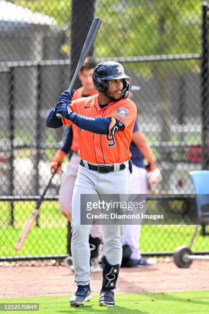 Pedro León of the Houston Astros prepares to bat during a minor league spring training game against the New York Mets at The Ballpark of the Palm...