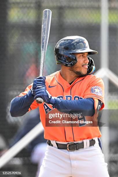 Pedro León of the Houston Astros bats during a minor league spring training game against the New York Mets at The Ballpark of the Palm Beaches on...