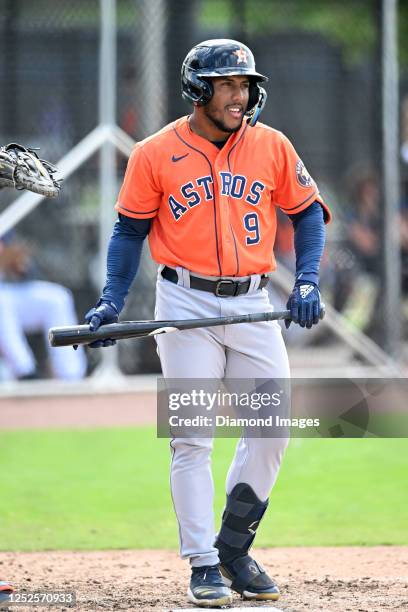 Pedro León of the Houston Astros looks on during a minor league spring training game against the New York Mets at The Ballpark of the Palm Beaches on...