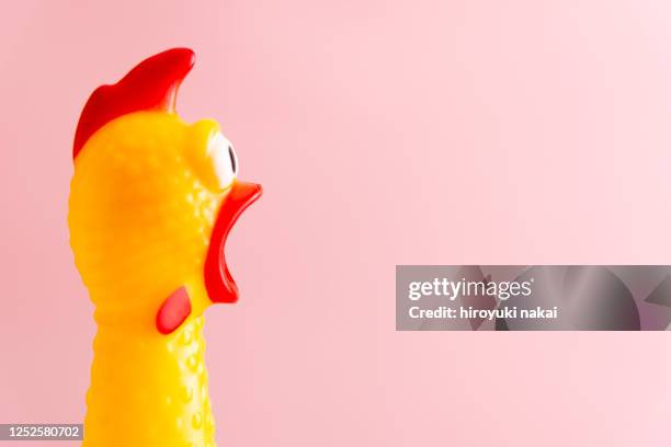 a loud chicken doll - animal call stock-fotos und bilder