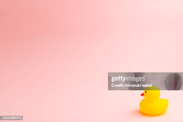 rubber duck - rubber duck ストックフォトと画像