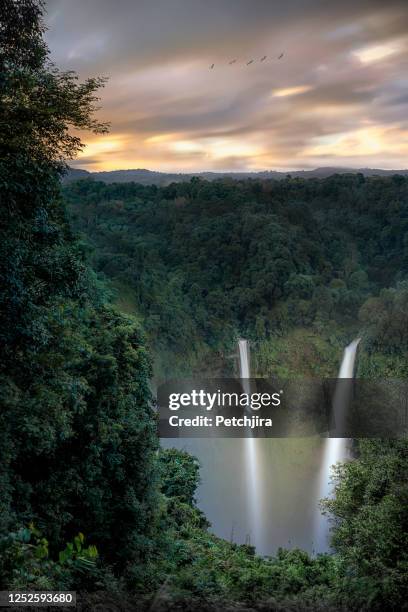 cascada de tad fane en el tiempo crepuscular - meseta de bolaven fotografías e imágenes de stock