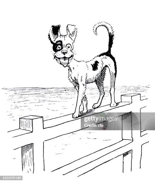 funny dog balancing on the wooden fence by the sea - black and white cartoon dogs stock illustrations