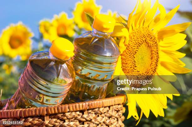 wicker basket with sunflower and three bottles of oil on the background of the field - oil macro stock pictures, royalty-free photos & images