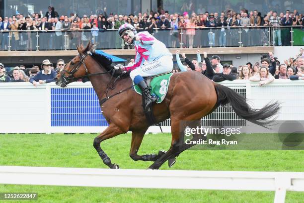 Rockstar Ronnie ridden by Chris McCarthy wins the Brandt Grand Annual Steeplechase at Warrnambool Racecourse on May 04, 2023 in Warrnambool,...