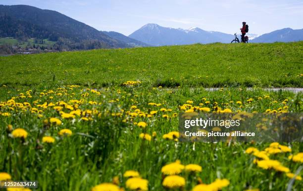 May 2023, Bavaria, Gmund: A woman stands with her bicycle in the sun on a meadow at the Tegernsee. Photo: Sven Hoppe/dpa