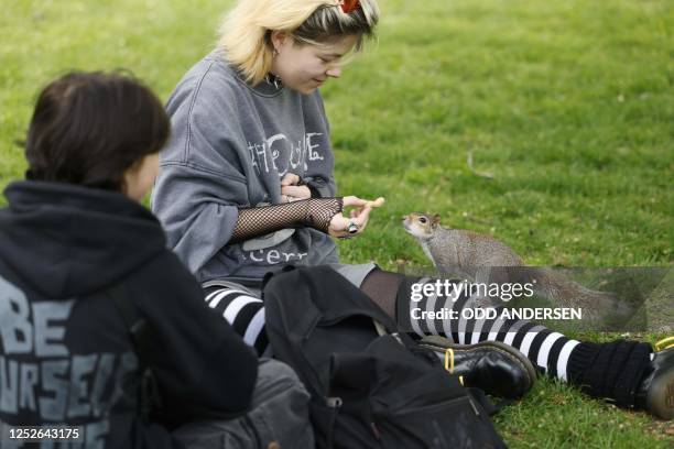 Squirrel is fed in St James's Park in central London, on May 4, 2023.