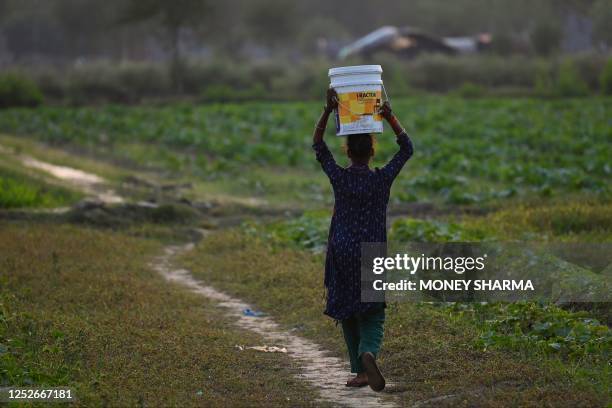 Woman walks back home across a field after collecting water from a tube well in a village on the outskirts of Faridabad on May 5, 2023.