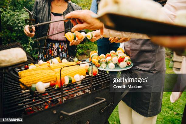 midsection of female friends barbecuing dinner at back yard - nur erwachsene stock-fotos und bilder