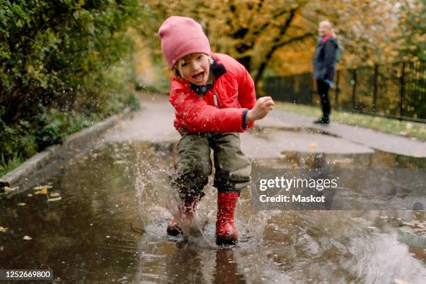 playful boy splashing water in puddle on road - multi generation family winter stock pictures, royalty-free photos & images