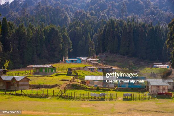 sandakphu-phalut & singalila trekking trail - bengala ocidental - fotografias e filmes do acervo